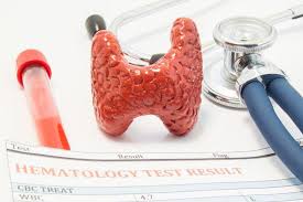 Image result for Thyroid Function Test