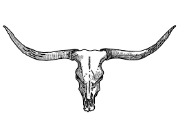 2013 02 11 00 12 31 0000 Png 2048 1536 Bull Skull Tattoos Bull Tattoos Cow Skull Tattoos