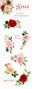 We did not find results for: Red Rose Flower Watercolor Clipart Rose Floral Png Free Etsy Flower Clipart Red Rose Flower Rose Clipart
