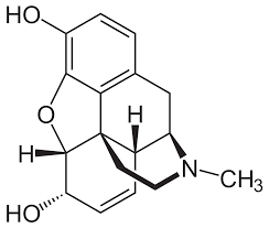 Morphine Wikipedia