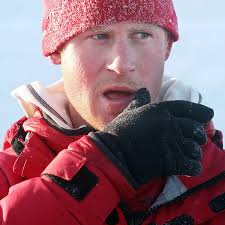 Prince Harry's ghost writer has 'no idea' if duke has even read their  best-selling book