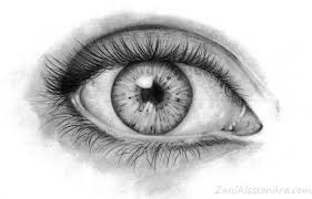 Come Disegnare Un Occhio Realistico Tutorial Disegno Occhio Http Zanialessandra Com Come Disegnare Un Occhio Realist Disegno Occhi Disegni Come Disegnare