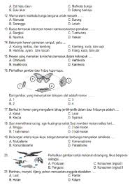 Untuk contoh soal ujian skb cpns bisa anda lihat dan klik pada link. Kisi Kisi Soal Ujian Sppi Sobat Guru