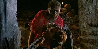 A scientific investigation and personal adventure story about zombis and the voudoun culture of haiti by a harvard scientist. Have You Ever Watched The Serpent And The Rainbow Horror Bound