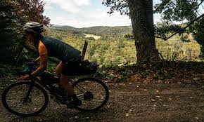 Image result for Autumn Gold Dark 1977 Caloric