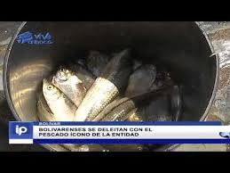 Referenciales / prensa iabnsb como cada año la feria internacional del libro de venezuela (filven), rendirá honores a la labor literaria de un destacado creador. Enterate Por Que Los Bolivarenses Prefieren La Feria Del Orinoco 2018 Youtube