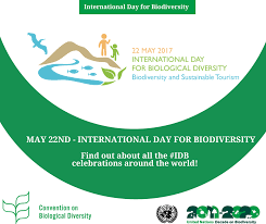 The international day for biological diversity. Un Biodiversity On Twitter May 22 International Day For Biological Diversity Check Out The Celebrations And Logos From Around The World Https T Co Cd8fsdwu73 Https T Co 5g1i45p1yg
