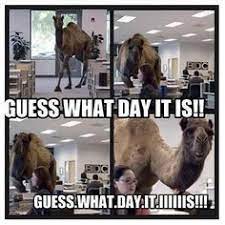 Get free geico ringtones & send to your phone. Madamwar Guess What Day It Is Mike