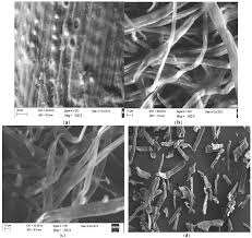 Besides empty fruit bunches, efb has other meanings. Polymers Free Full Text Exploration Of A Chemo Mechanical Technique For The Isolation Of Nanofibrillated Cellulosic Fiber From Oil Palm Empty Fruit Bunch As A Reinforcing Agent In Composites Materials