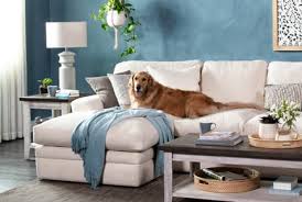 And that starts with focusing on brands committed to sustainable and ethical production methods. Best Couches For Dogs And Other Types Of Pets Living Spaces