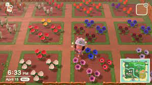 Crossbreeding flowers to create hybrids can take some time and patience, but is fairly simple if you place flowers correctly and water them daily, if it isn't raining. You Can Plant Flowers Over The Dirt And Sand Paths Animalcrossing