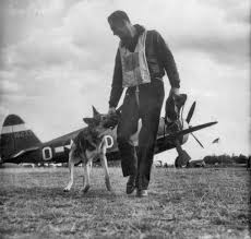 19 Raf debden Images: PICRYL