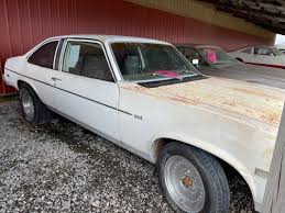 Image result for Saffron 1978 Nova