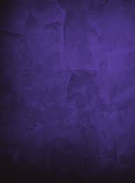 THE UNSTOPPABLE FIONA ASHE