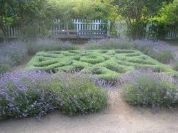 Via 'all about my garden'. Knot Garden Design Plants To Use For Herb Knot Gardens