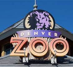 Denver Zoo And December S Zoo Lights Denver Colorado Denver Zoo Zoo Lights Zoo