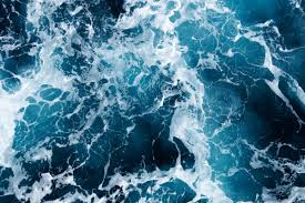 Image result for sea