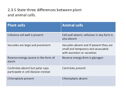 This is an important barrier that separates the interior parts of the cell from the external environment while one of the other differences between plant and animal cells is with regards to the vacuole. Eukaryotic Cells