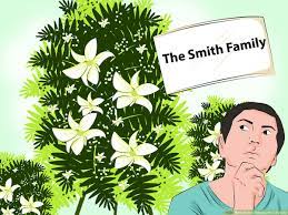 We did not find results for: How To Buy Flowers For A Funeral 12 Steps