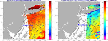 How To Read A Sea Surface Temperature Map Rucool Rutgers