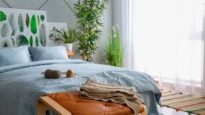 Tipps für die optimale schlaftemperatur im winter. Pflanzen Im Schlafzimmer Diese Pflanzen Eignen Sich Furs Schlafzimmer Bayern 1 Radio Br De