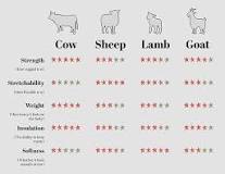 Image result for how much does cowhide cost