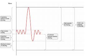 Image result for Pulmonary Function Test