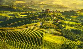 Piemonte is famous for its aromatic white truffles found in fall and alba holds one of italy's top truffle fairs. Walking Cooking Tour Piedmont Organised Gourmet Holidays In Italy