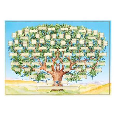 Lilixerw Family Tree Chart to Fill in,Genealogy Poster Blank Fillable  Ancestry Chart,Large Print Family Tree Picture Frame Wall Decor,Gift for  Family ...