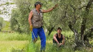 Darsteller lebt in unserem dreistöckig. Die Welt Der Drehorte Ein Sommer In Der Provence