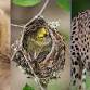 Wildlife Photography Slam