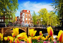 Tripadvisor has 31,126 reviews of holland hotels, attractions, and restaurants making it your best holland resource. The Netherlands Drops Its Holland Nickname Officially Times Of India Travel
