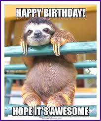 Happy Birthday Memes With Funny Cats Dogs And Animals In 2020 Happy Birthday Animals Happy Birthday Meme Sloth Happy Birthday