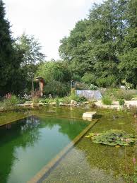 9 Myths About Organic Bio Swimming Pond In The Garden Swimming Pond Natural Swimming Pools Pond Landscaping