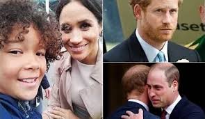 Category Raw Lyving Mt 0141