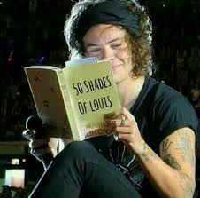 What He S Reading A Book Titled 50 Shades Of Louis Harry Styles Funny Harry Styles Memes Harry Styles
