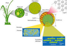 Shop lignin alkaline 8068-05-1 Alkaline lignin-Detailed Image 2
