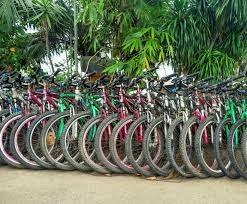 Maybe you would like to learn more about one of these? Four Of Singapore S Most Scenic Bike Routes Financial Times