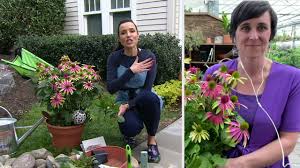 Cottage farms direct 2.5 qt. Cottage Farms 3 Piece Twist Shout Coneflowers Live Plants On Qvc Youtube