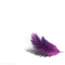 Birds Of A Feather 2019 Characters Introducing Zeta The Angry Birds Movie 2 Angry Birds Movie Baby Cinderella Sony Pictures Entertainment