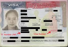 Usa Immigration Document Library 2021 Rapidvisa