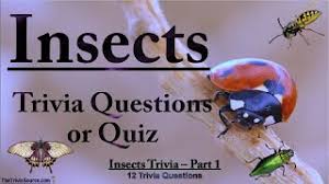 Insect trivia questions and answers are all about different types of insects. Best Of Insect Quiz Free Watch Download Todaypk