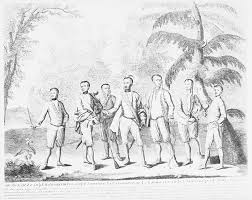 Which found an early outside market. Ethnic Cleansing And The Trail Of Tears Cherokee Pasts Places And Identities Southern Spaces