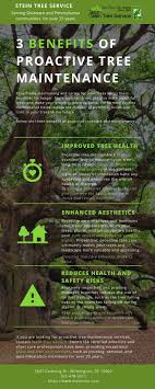We did not find results for: Stein Highlights 3 Benefits Of Proactive Tree Maintenance