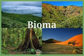 We did not find results for: Pengertian Bioma Tundra Taiga Macam Ciri Fungsi Contoh