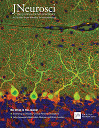 Acute Inflammation Alters Brain Energy Metabolism in Mice and Humans: Role  in Suppressed Spontaneous Activity, Impaired Cognition, and Delirium |  Journal of Neuroscience