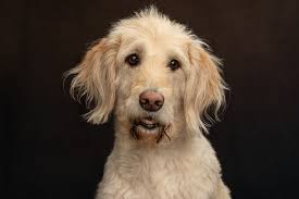 Picture for Attention :) I'm looking for some feedback