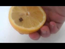 Comment Faire Un Anti Moustique Fait Maison Youtube Anti Moustique Fait Maison Moustique