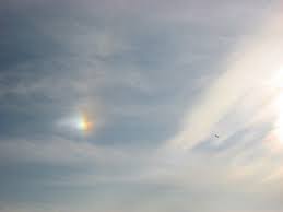 「環天頂アーク」の画像検索結果