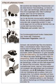Gattungsschlussel Auffallende Formen Pilze Bestimmen Pilze Schwammerl